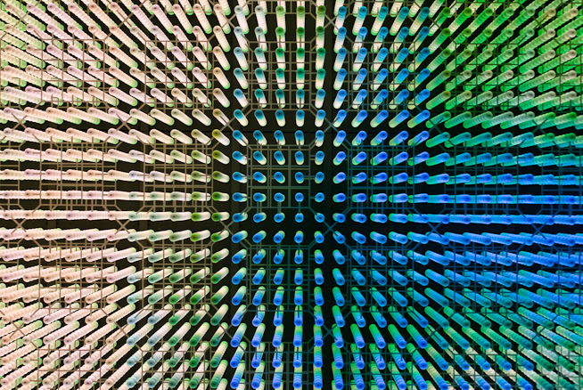 ohne Titel ohne Titel