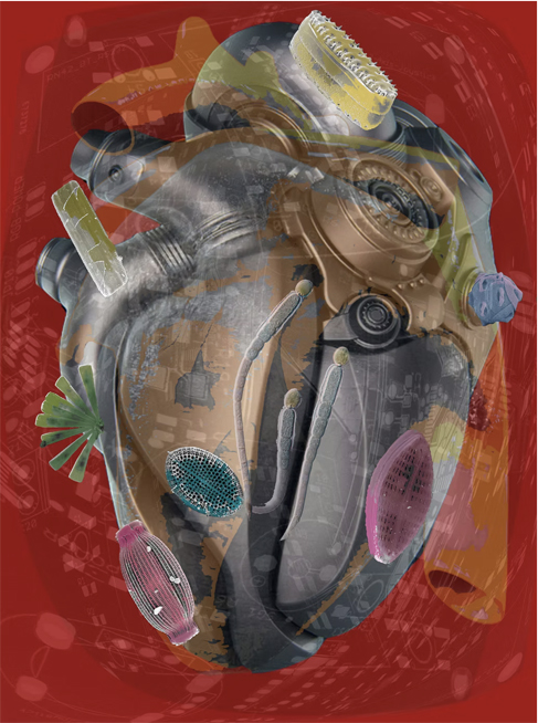 Amalgamated Fragmentation - Plastisphere–Body 2