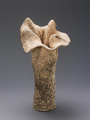 Wachstumsform