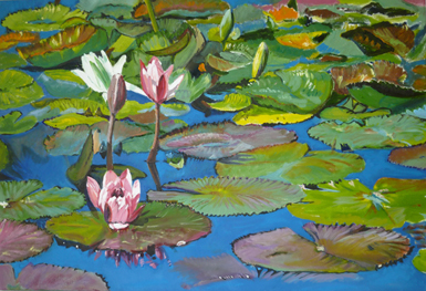 Water Lilies 6